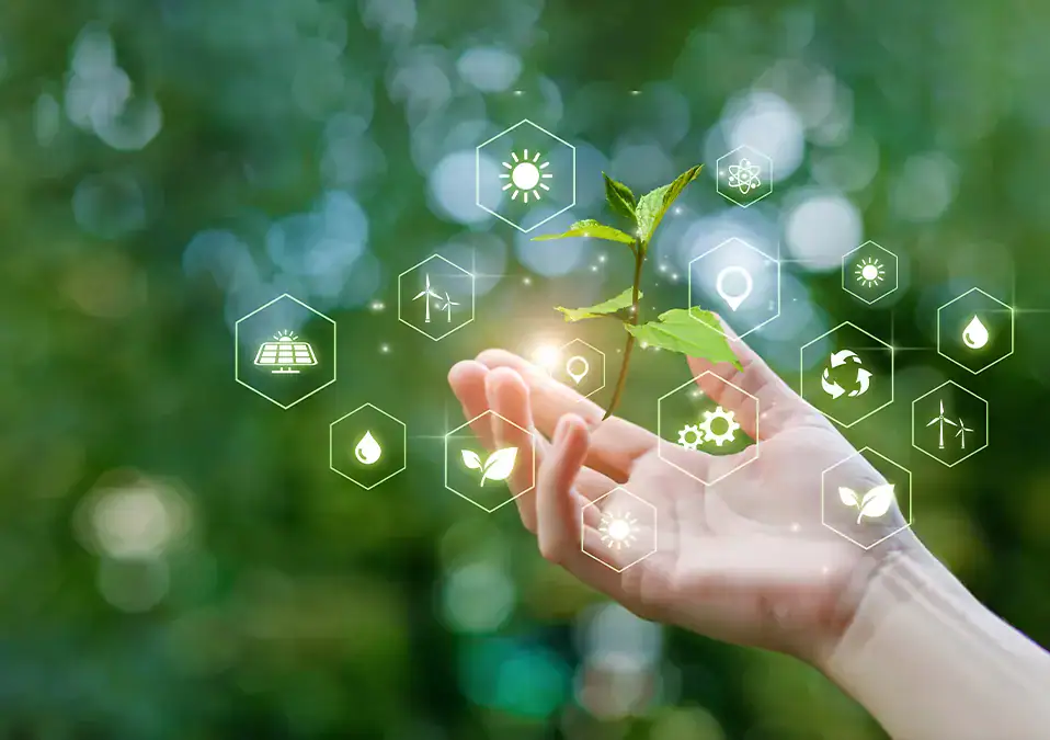 Development Strategy